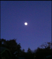  The Moon...  A full moon. How beautiful! 